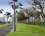 arbres-solaires