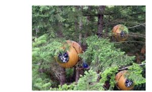 free spirit spheres